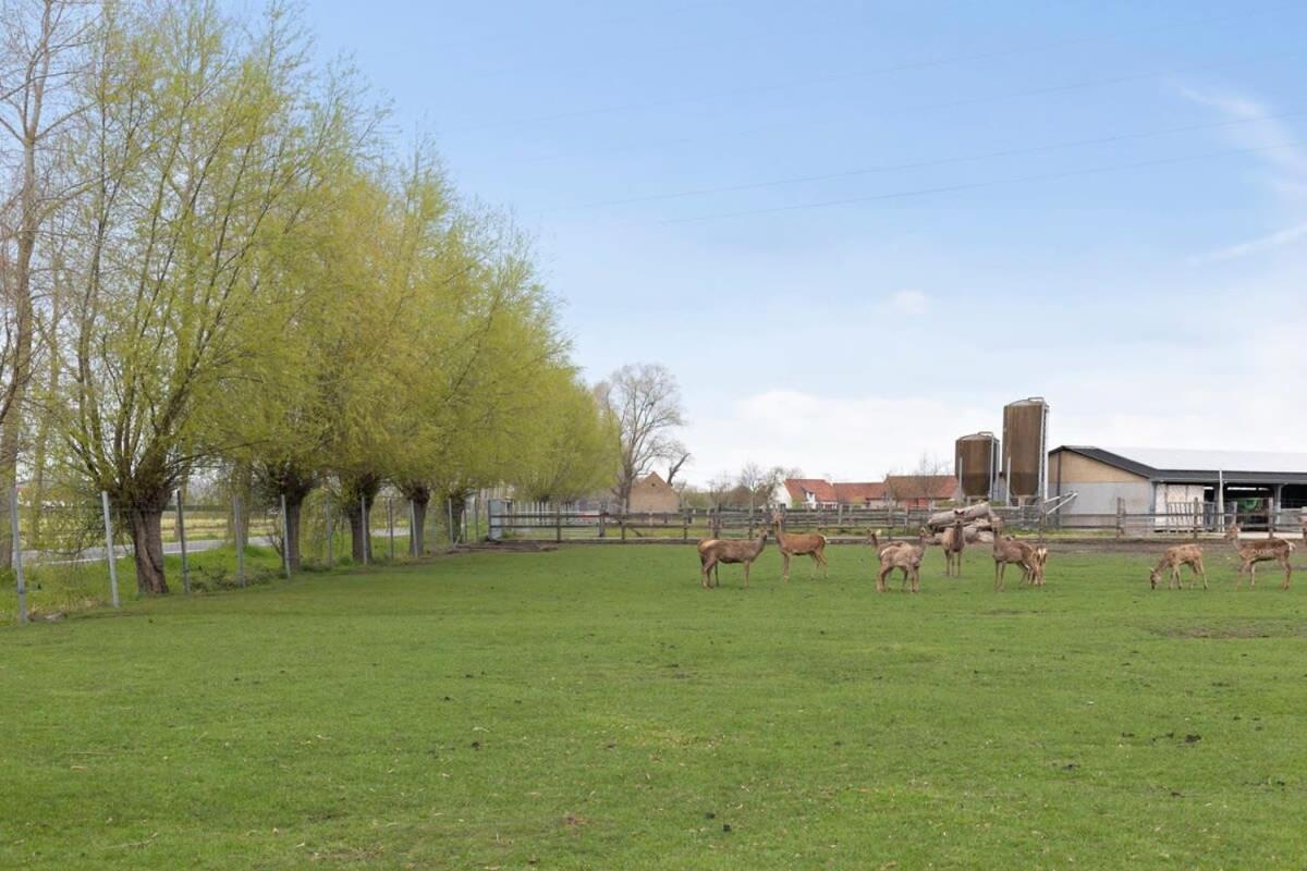 Villa Huswell - Family House With A Beautiful View In Damme Brügge Exterior foto